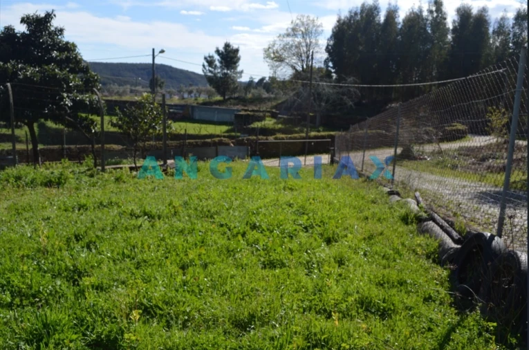 Terreno para Venda em Figueiró dos Vinhos e Bairradas Foto 3