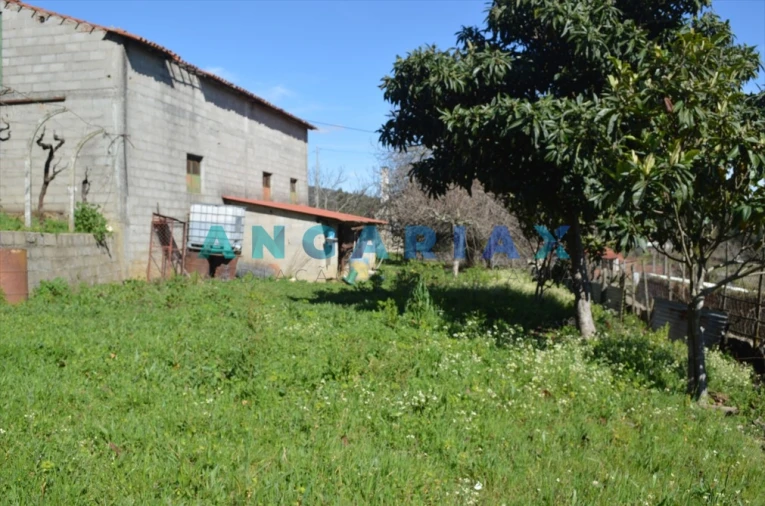 Terreno para Venda em Figueiró dos Vinhos e Bairradas Foto 7