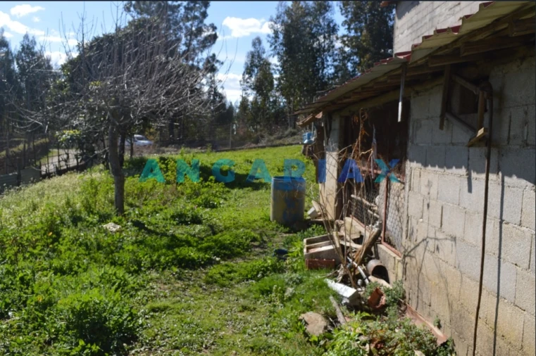 Terreno para Venda em Figueiró dos Vinhos e Bairradas Foto 13