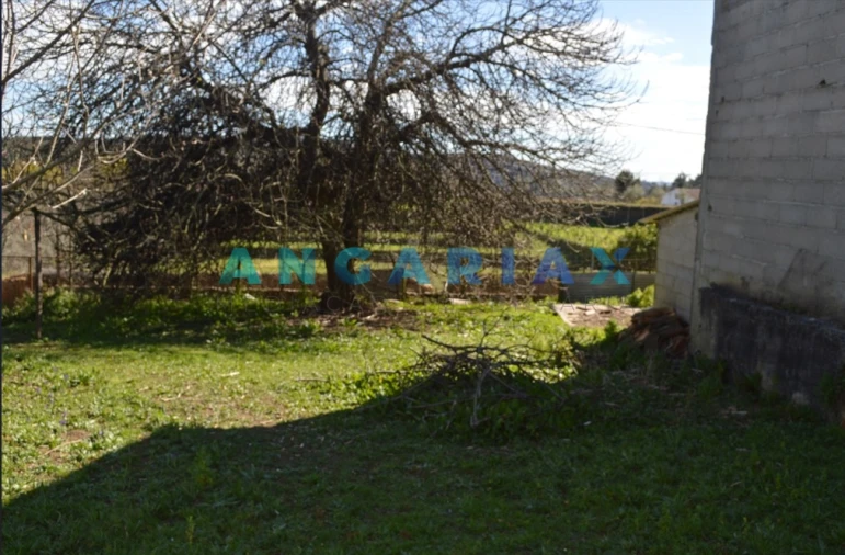 Terreno para Venda em Figueiró dos Vinhos e Bairradas Foto 12