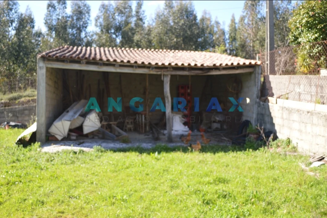 Terreno para Venda em Figueiró dos Vinhos e Bairradas Foto 10