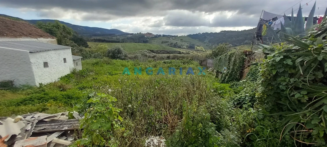 Terreno para Venda em Lamas e Cercal Foto 2