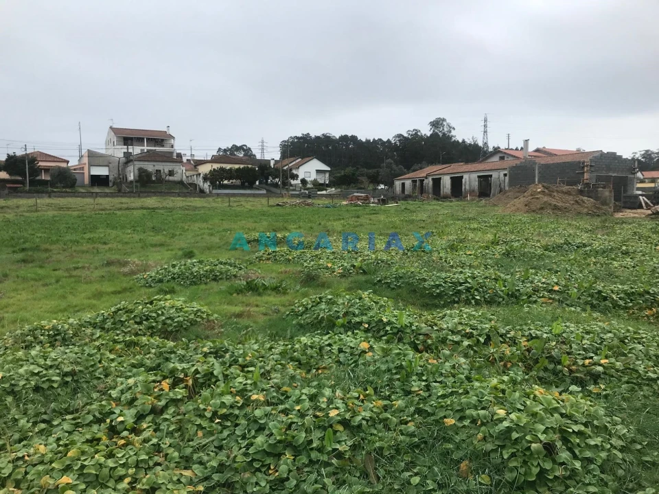 Terreno para Venda em Marrazes e Barosa Foto 3