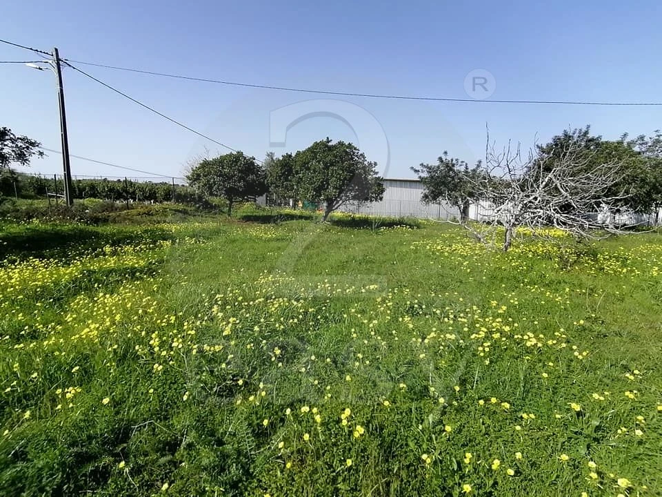 Quinta T3 para Venda em Altura Foto 20