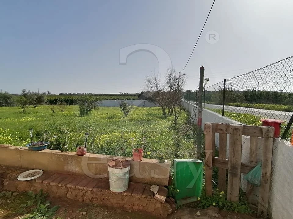 Quinta T3 para Venda em Altura Foto 10