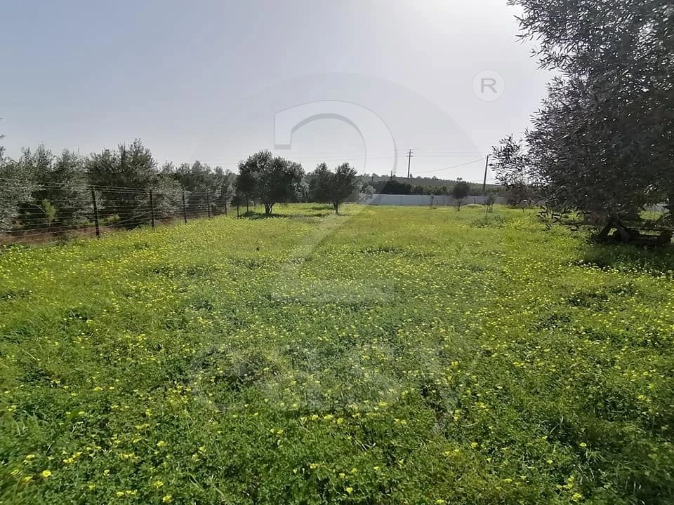 Quinta T3 para Venda em Altura Foto 23