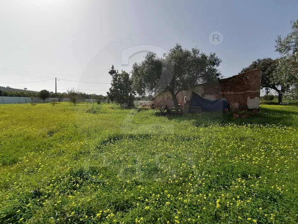 Quinta T3 para Venda em Altura Foto 29