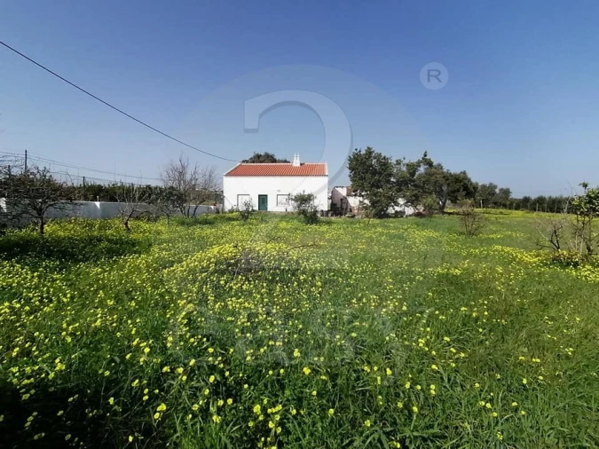 Quinta T3 para Venda em Altura Foto 16