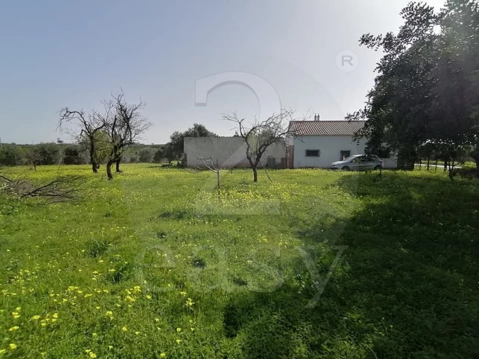 Quinta T3 para Venda em Altura Foto 28