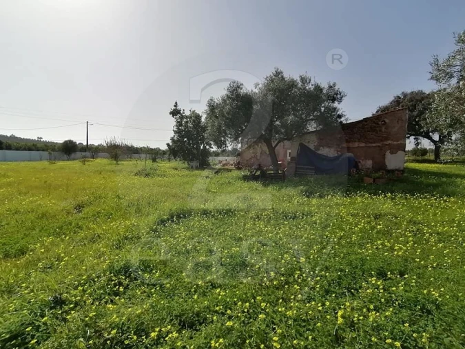 Quinta T3 para Venda em Altura Foto 29