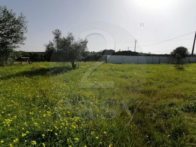 Quinta T3 para Venda em Altura Foto 26