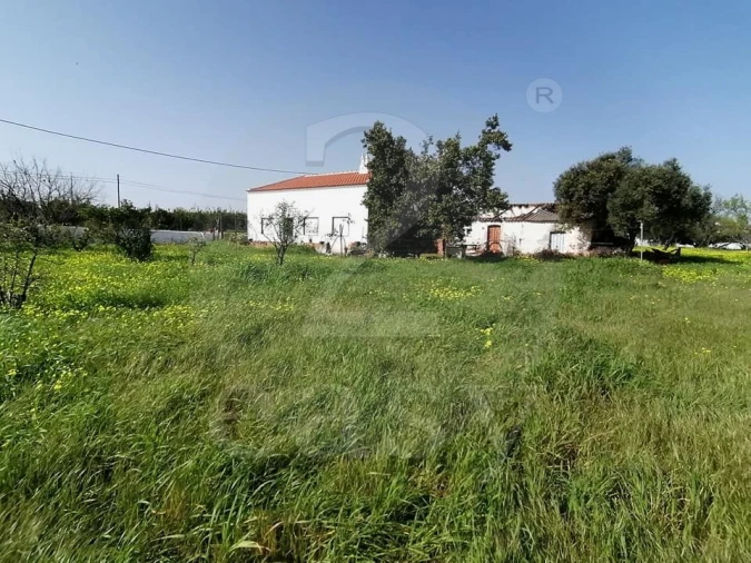 Quinta T3 para Venda em Altura Foto 14