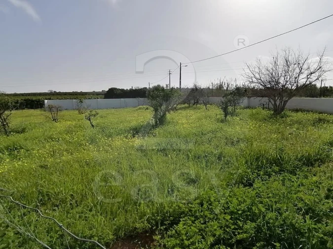 Quinta T3 para Venda em Altura Foto 27