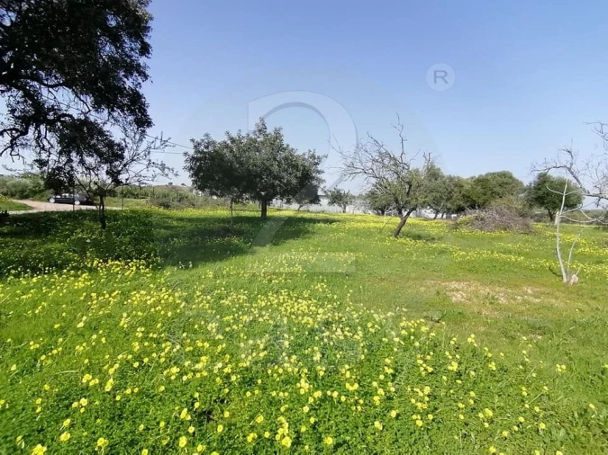 Quinta T3 para Venda em Altura Foto 25