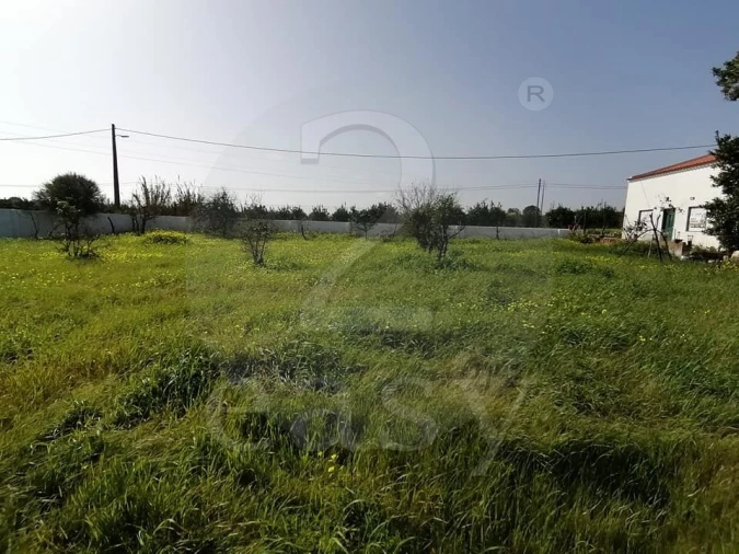 Quinta T3 para Venda em Altura Foto 22