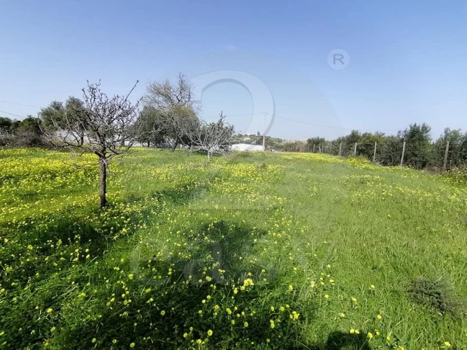 Quinta T3 para Venda em Altura Foto 21