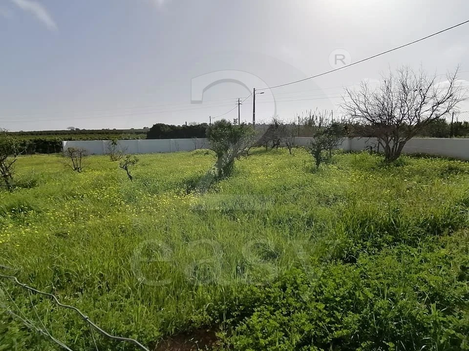 Quinta T3 para Venda em Altura Foto 27