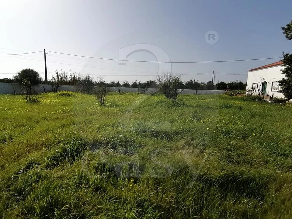 Quinta T3 para Venda em Altura Foto 22