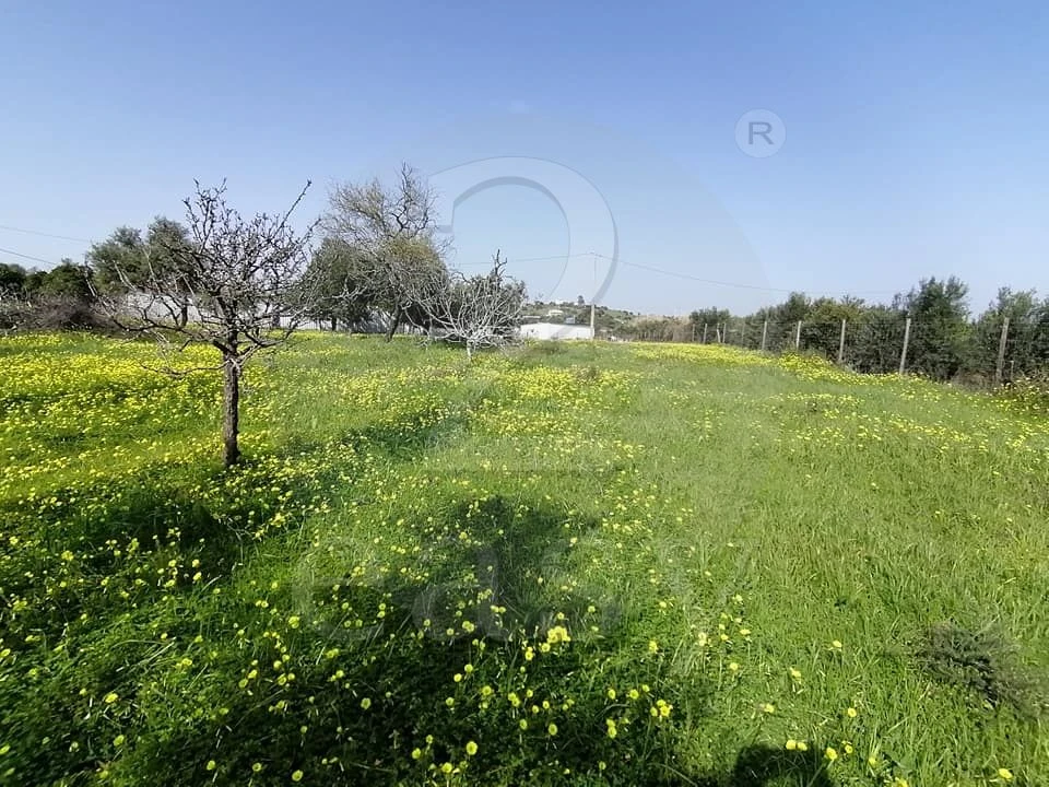 Quinta T3 para Venda em Altura Foto 21