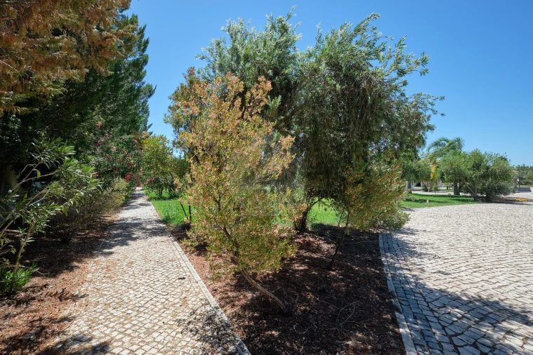 Moradia T5 para Venda em Ermidas-Sado Foto 49