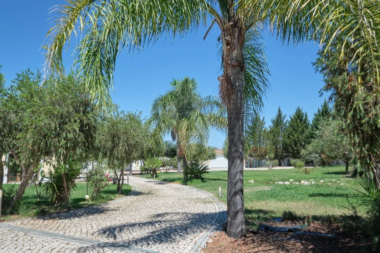 Moradia T5 para Venda em Ermidas-Sado Foto 60