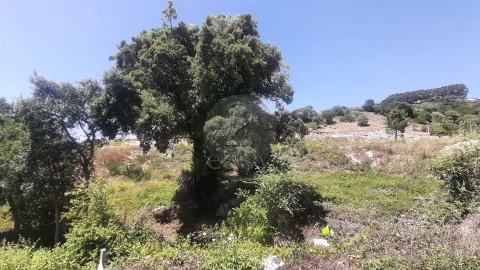 Terreno para Venda em Venda do Pinheiro e Santo Estêvão das Galés