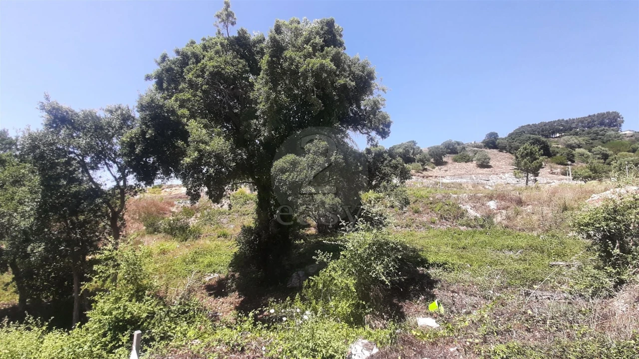 Terreno para Venda em Venda do Pinheiro e Santo Estêvão das Galés Foto 1