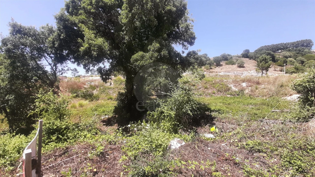 Terreno para Venda em Venda do Pinheiro e Santo Estêvão das Galés Foto 2