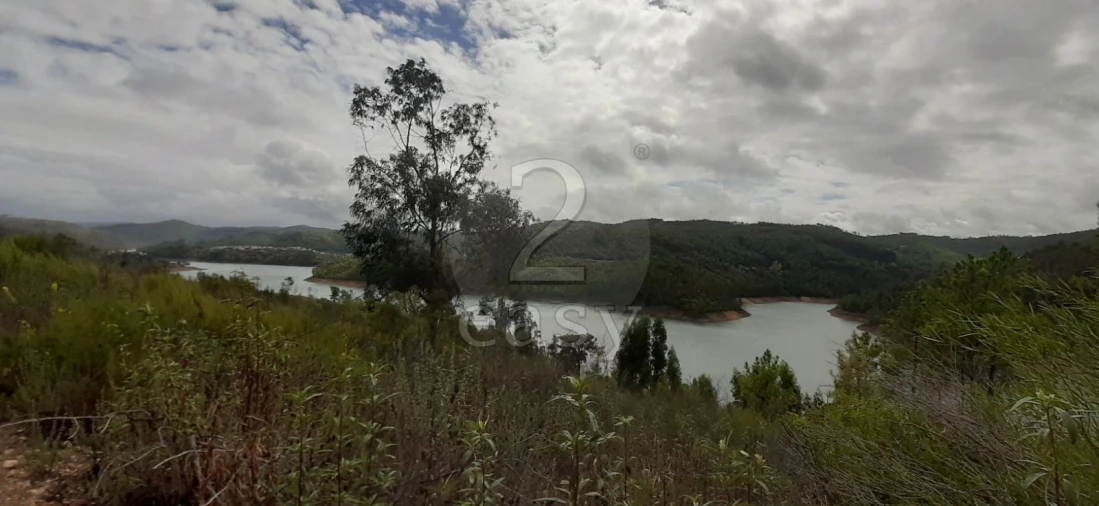 Terreno Agricola ou Rústico para Venda em Vila de Rei Foto 5