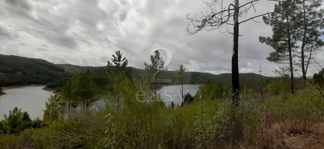 Terreno Agricola ou Rústico para Venda em Vila de Rei Foto 7
