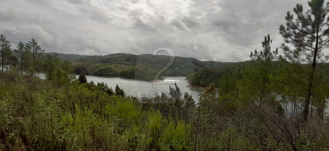 Terreno Agricola ou Rústico para Venda em Vila de Rei Foto 3