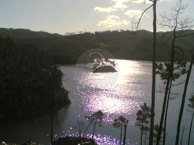 Terreno Agricola ou Rústico para Venda em Vila de Rei Foto 8