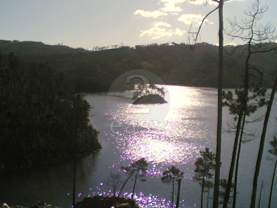 Terreno Agricola ou Rústico para Venda em Vila de Rei Foto 8