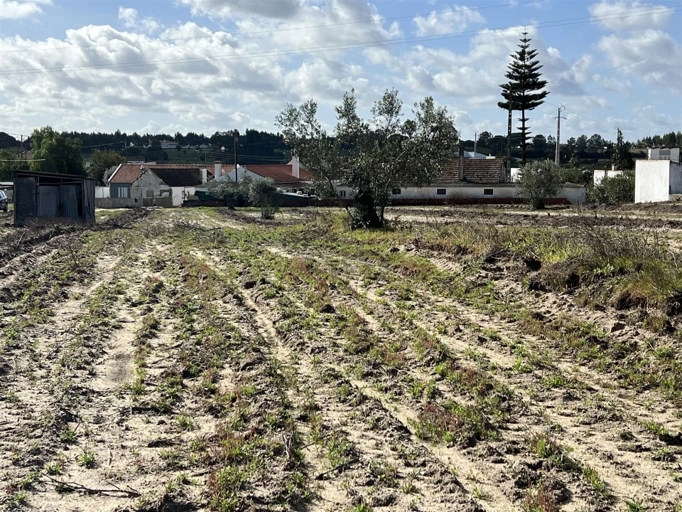 Terreno para Venda em Biscainho Foto 4