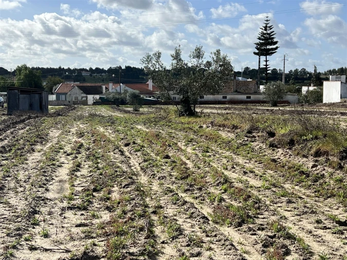 Terreno para Venda em Biscainho Foto 4
