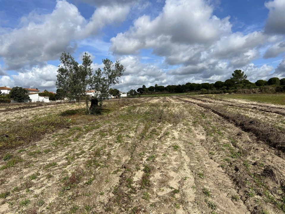 Terreno para Venda em Biscainho Foto 8