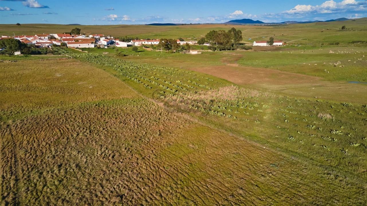 Terreno Agricola ou Rústico para Venda em São Marcos da Ataboeira Foto 28