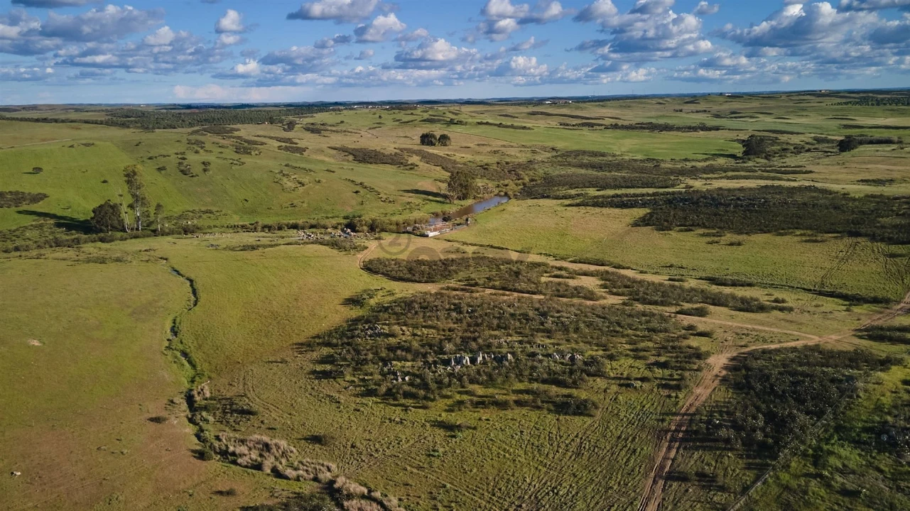 Terreno Agricola ou Rústico para Venda em São Marcos da Ataboeira Foto 5