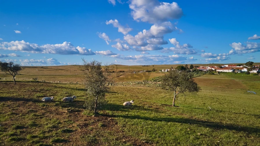 Terreno Agricola ou Rústico para Venda em São Marcos da Ataboeira Foto 33