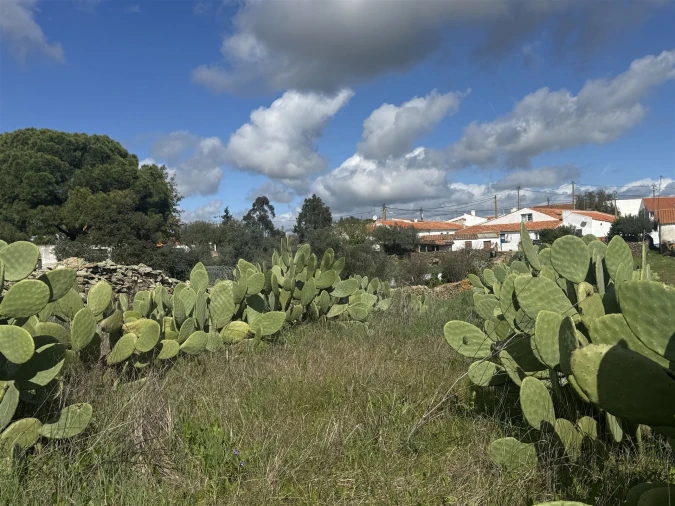 Terreno Agricola ou Rústico para Venda em São Marcos da Ataboeira Foto 37