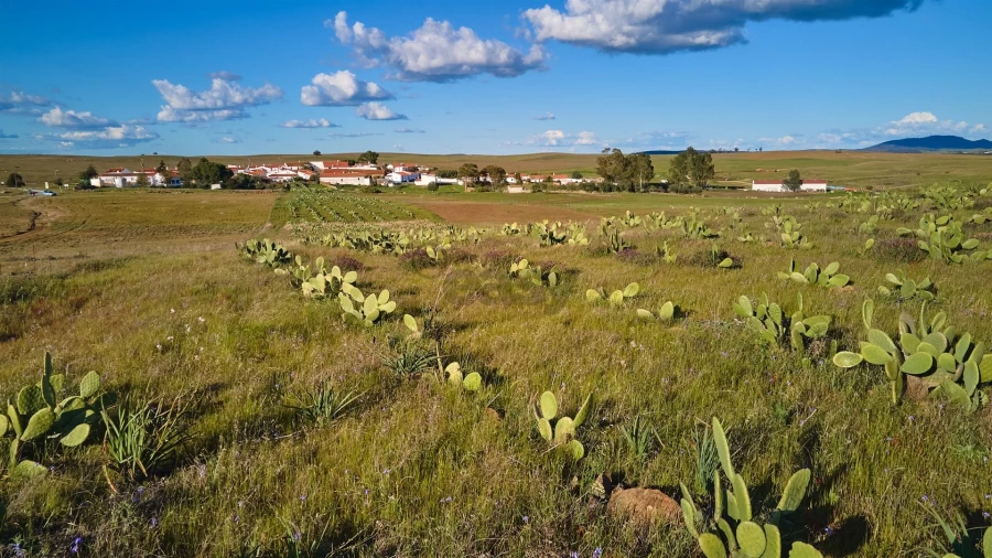 Terreno Agricola ou Rústico para Venda em São Marcos da Ataboeira Foto 26