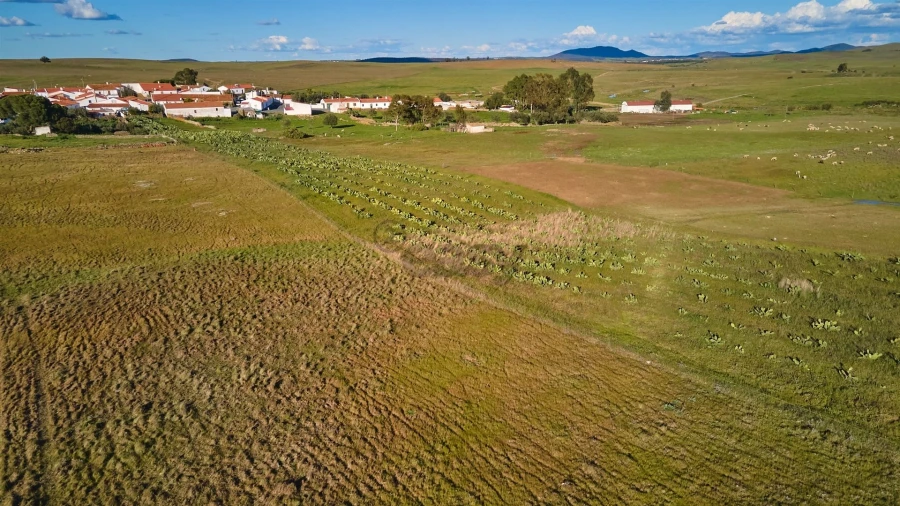 Terreno Agricola ou Rústico para Venda em São Marcos da Ataboeira Foto 28