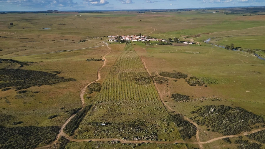 Terreno Agricola ou Rústico para Venda em São Marcos da Ataboeira Foto 8