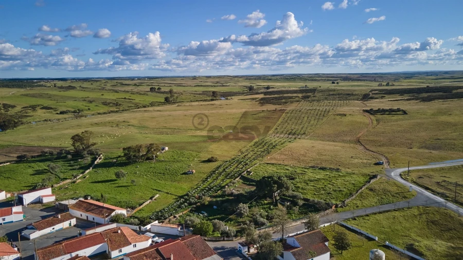 Terreno Agricola ou Rústico para Venda em São Marcos da Ataboeira Foto 2
