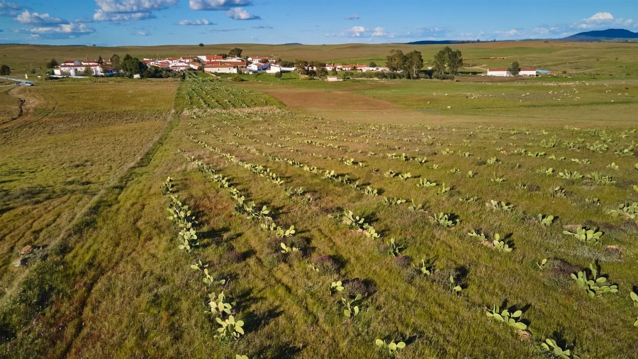 Terreno Agricola ou Rústico para Venda em São Marcos da Ataboeira Foto 27