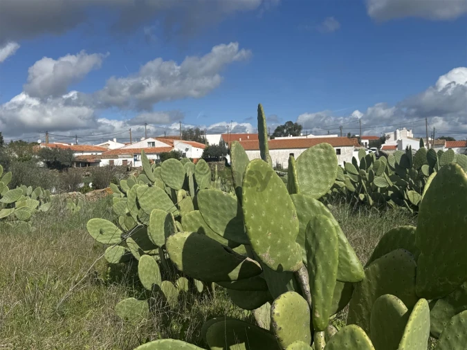 Terreno Agricola ou Rústico para Venda em São Marcos da Ataboeira Foto 36