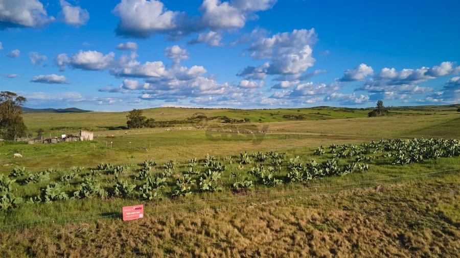 Terreno Agricola ou Rústico para Venda em São Marcos da Ataboeira Foto 35
