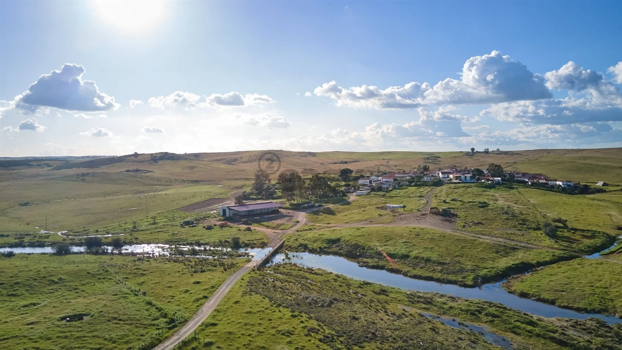 Terreno Agricola ou Rústico para Venda em São Marcos da Ataboeira Foto 23