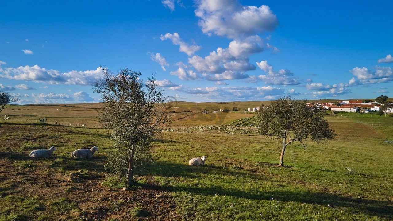 Terreno Agricola ou Rústico para Venda em São Marcos da Ataboeira Foto 34