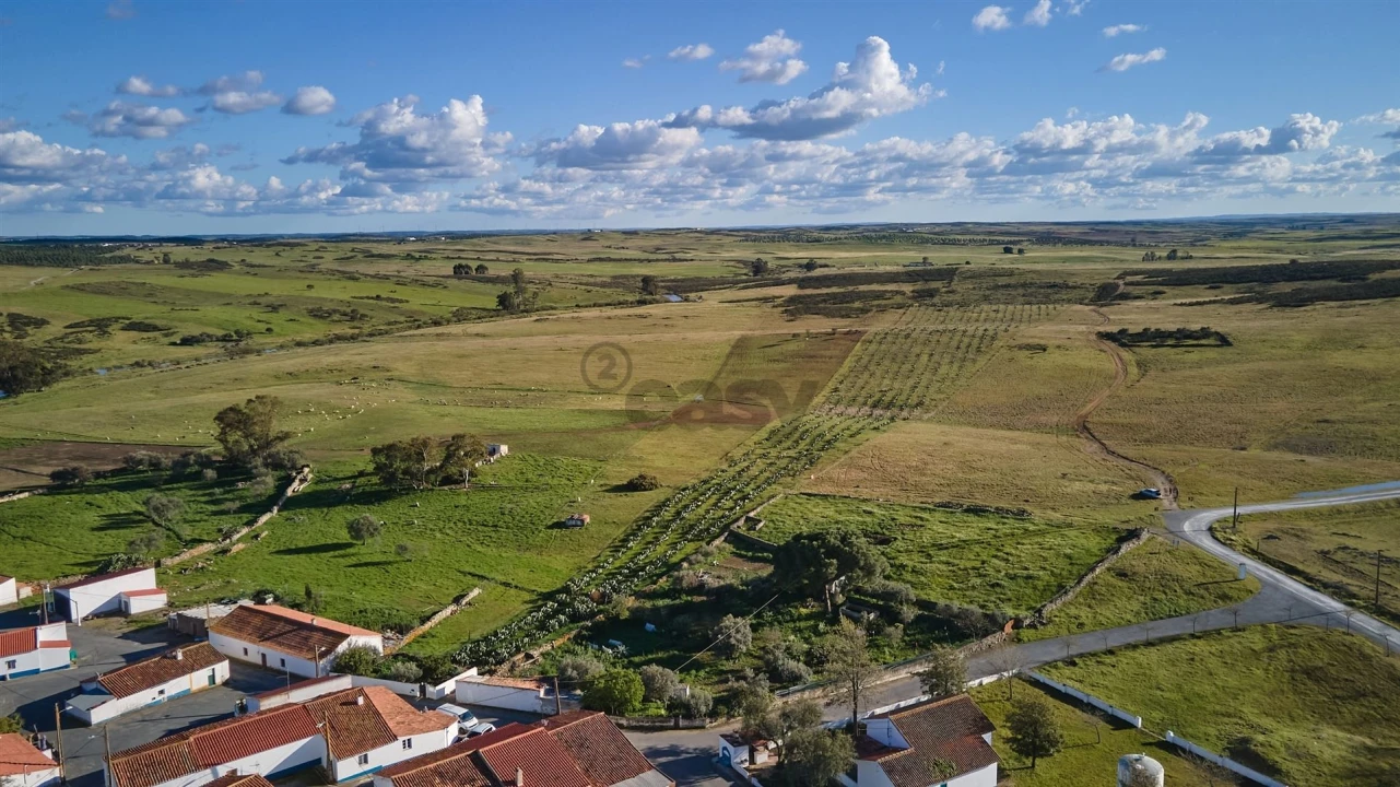 Terreno Agricola ou Rústico para Venda em São Marcos da Ataboeira Foto 2